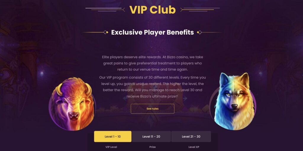 Bizzo casino VIP Club for players.